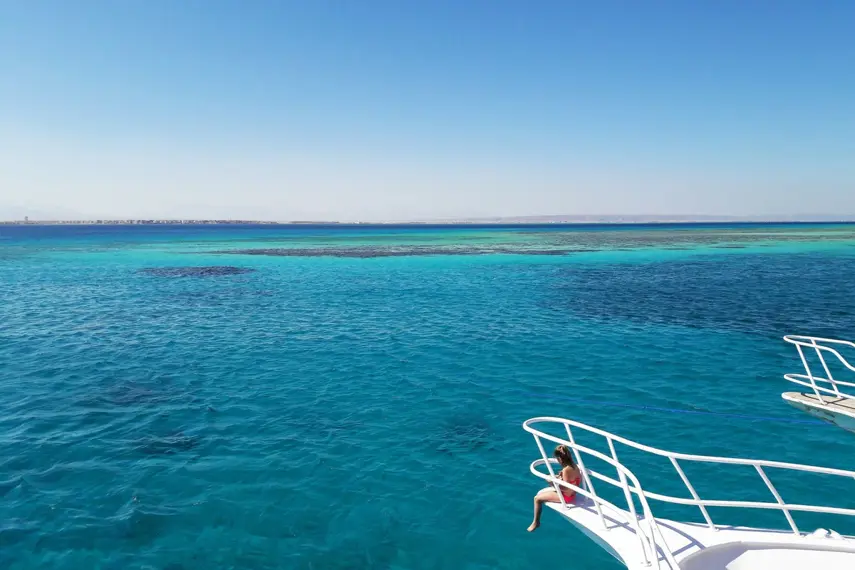 Corals Experience - Beautiful coral reef formations